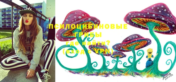 Альфа ПВП Алзамай