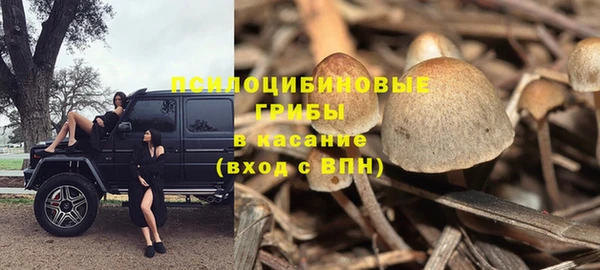 Альфа ПВП Алзамай